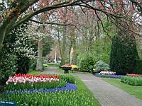 Another incredible vista