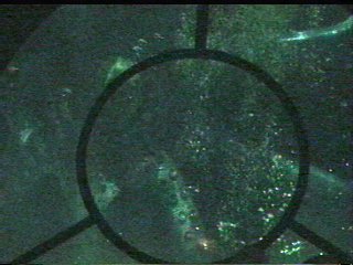 A squid attacks the Nautilus