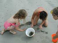 Conducting the crab funeral