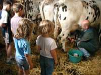 Learning where milk comes from