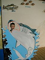 Someone got too close to the sharks