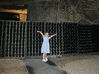 "I love champagne!"  (and she does)