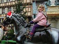 Is it this horse or the rider who is warmer this time around?