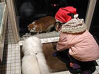 The 'guard cat' watching the shop and protecting it from Perri