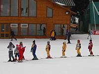 Mother goose and her ducklings