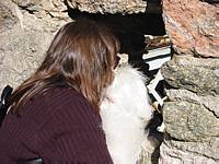 Everyone need to see