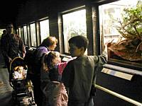 "I found this one!  Did you?"