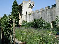 Not all of the walls are in perfect condition