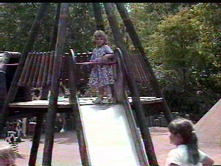 The playground was a big hit