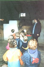 Learnig about horses