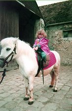 I like riding on ponys