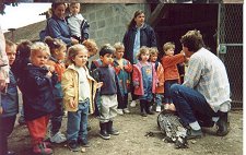 Learning about turkeys