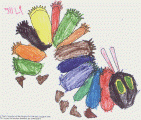 The Hungry Caterpillar