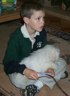 Nintendo means a warm lap for a long time