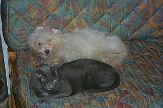 Maybe someday I will be bigger than her, until then...