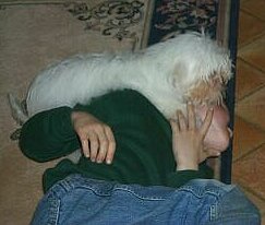 A good wrestling match can be fun