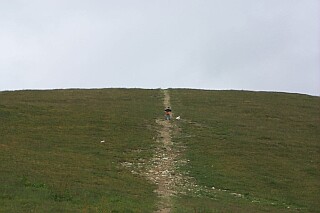 Alex and Perri climbing a hill together--Perri went up and down this hill three or four times in the time it took Alex to get to the top once.  A little white yo-yo