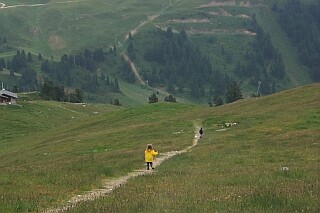 Exploring the fields