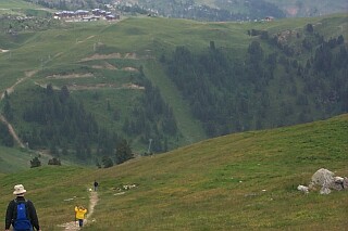The rolling mountains fields