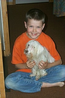 Here is what you get when you soak a furry white dog--a damp, unhappy mop