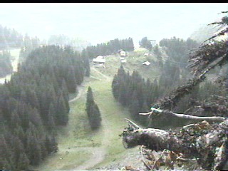 We walked down that?