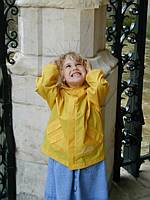 The kids found plastic strips with 4" talls wires sticking out.  These go on ledges and such to keep the pigeons away.