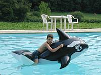 Alex enjoys the pool.