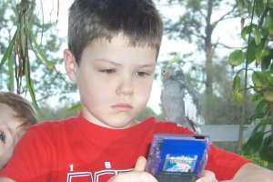 Our view of Alex for a week