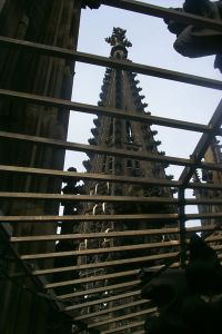 They do not want you to fall off