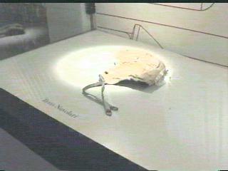 And they called this a helmet?  [the driving cap of Nuvolari]