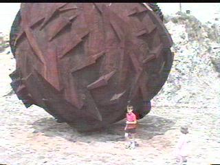 Quick Alex, run!  It might move!