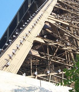 The strobe lights used to make the tower sparkle at night