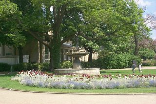 Flowers and fountains