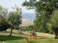 Juli sits and admires the hillsides in the morning