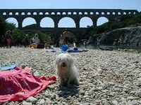 Drying out after a quick dip in the river