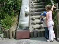 Perri taking a run down his luge