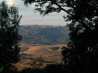 We are not in Kansas any more Toto! Welcome to Italy!